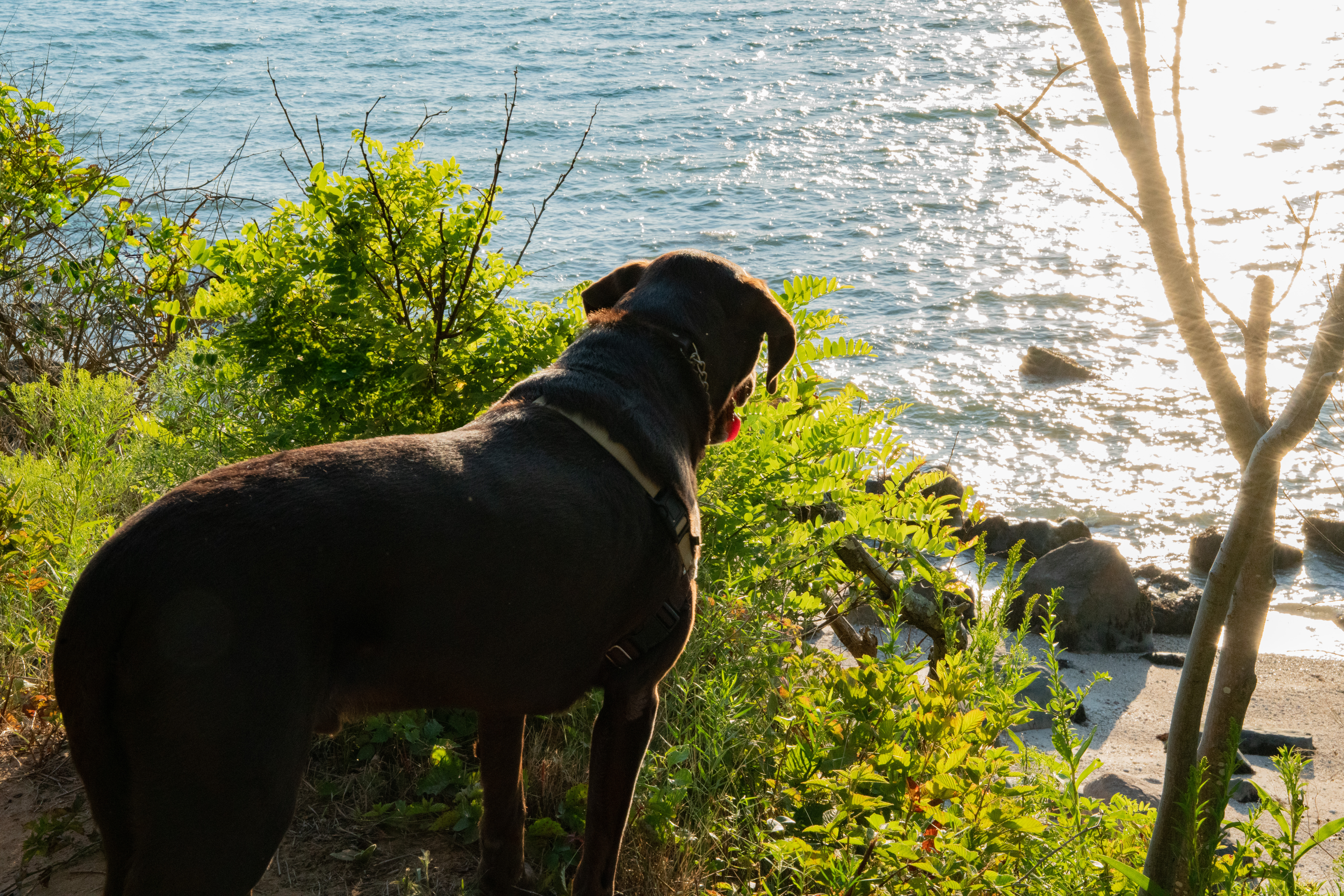 Murphy Cover Photo